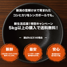 Load image into Gallery viewer, 【August 8月配送】Albi Rice! Thursday 28th August 2025 -  Saturday 30th August 2025
