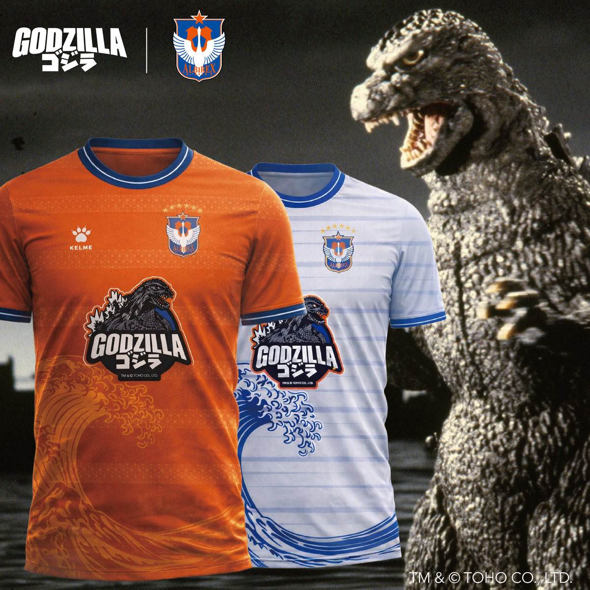 Albirex Niigata FC (S) OFFICIAL ONLINE SHOP / アルビレックス新潟