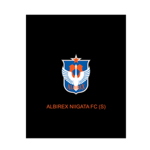 Load image into Gallery viewer, Albirex-s Shoes bag

