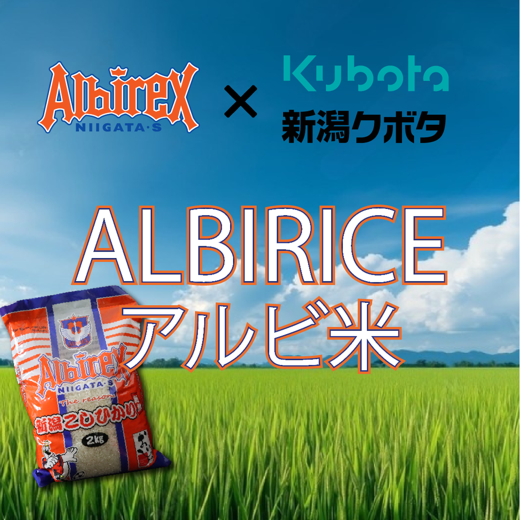 Albire Rice! February 27th Thursday - March 1st Saturday